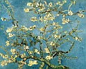 VAN GOGH VINCENT (1853-1890) - Blossoming Almond Tree
